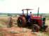 Tractor massey ferguson 290